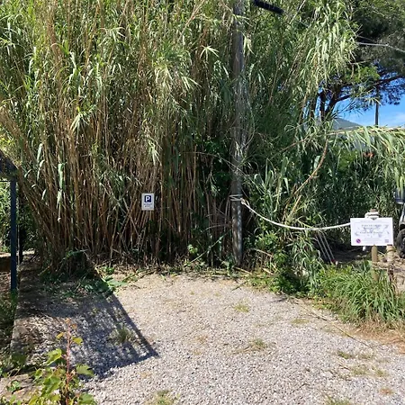 Casa Delle Rondini, Vista Mare, A Procchio! Feriehus